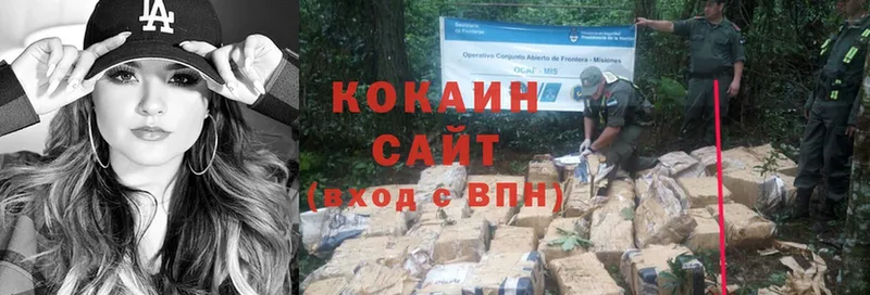 Cocaine FishScale  сколько стоит  Катав-Ивановск 